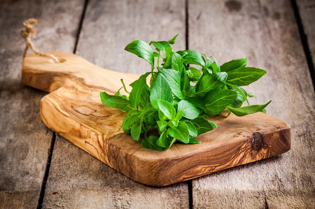 Basil: Ingredients Needed to Make Classic Pistachio Pesto