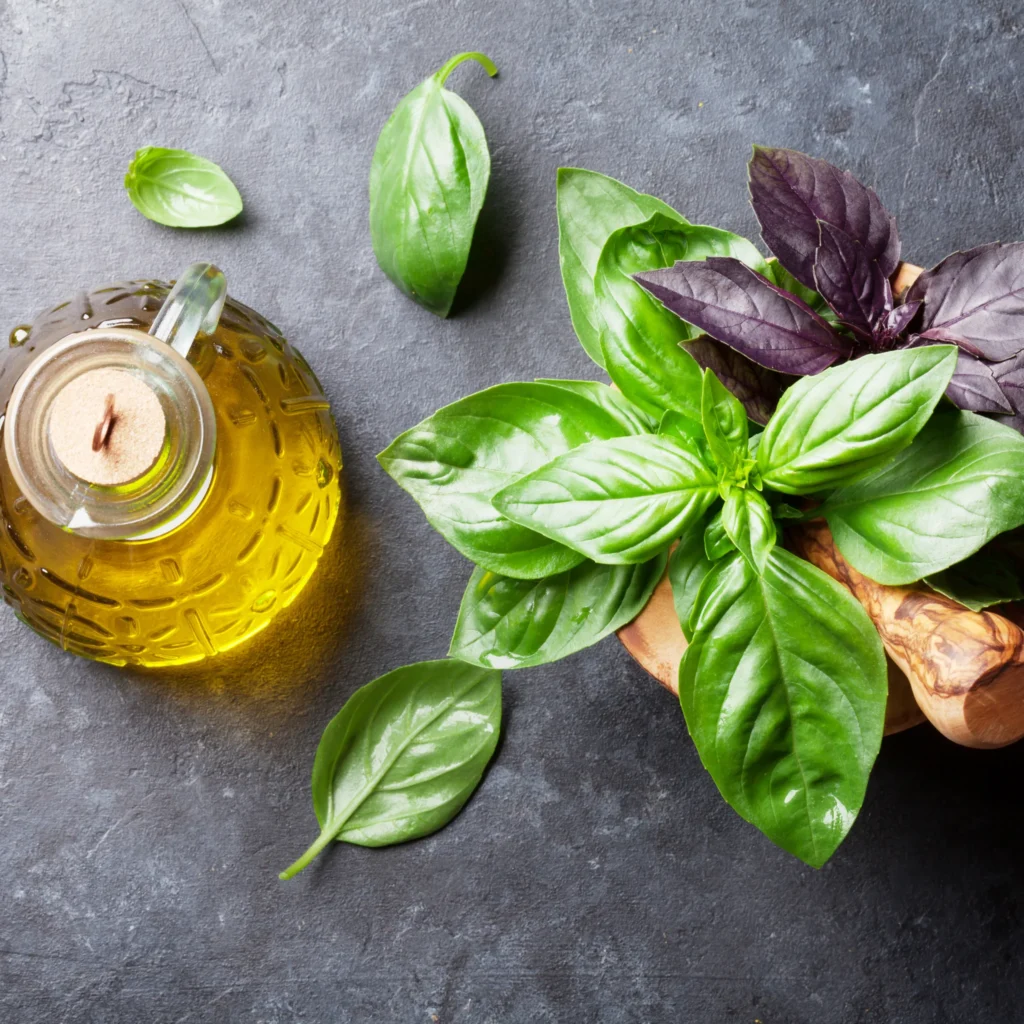 Benefits of Olive Oil and Basil