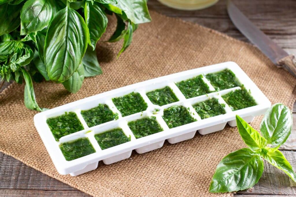 Freezing and Preserving Basil Pesto