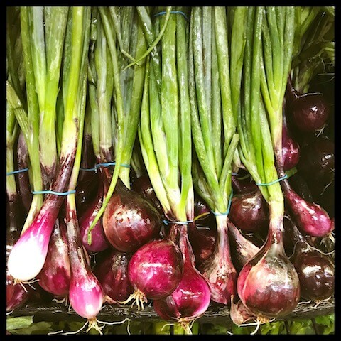 Shallots