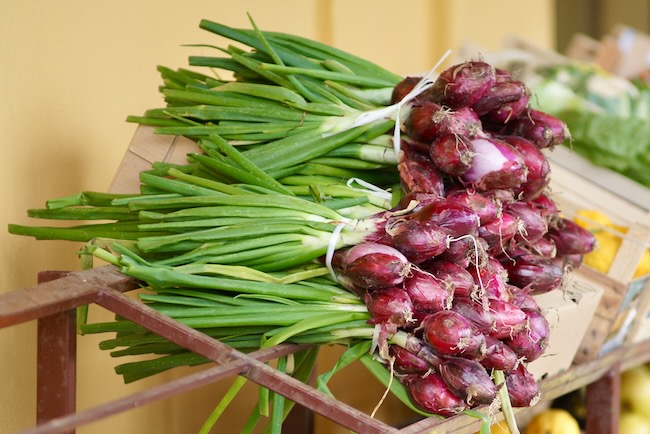 Tropea Onions – Calabria’s Sweetest Treasure