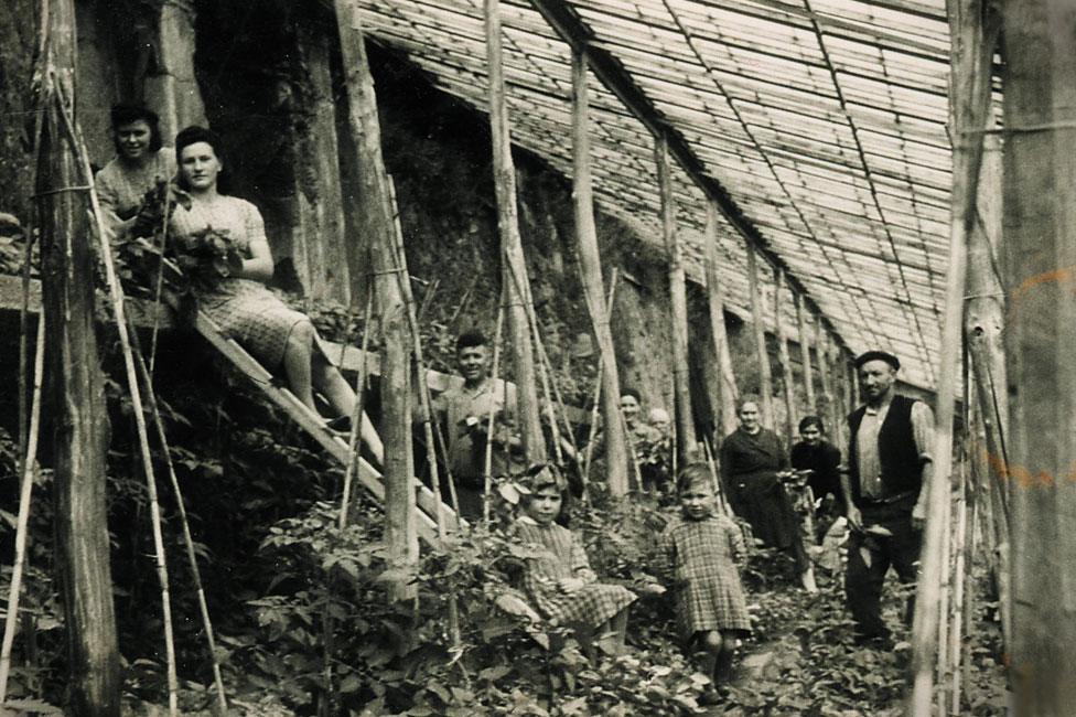 PESTO History