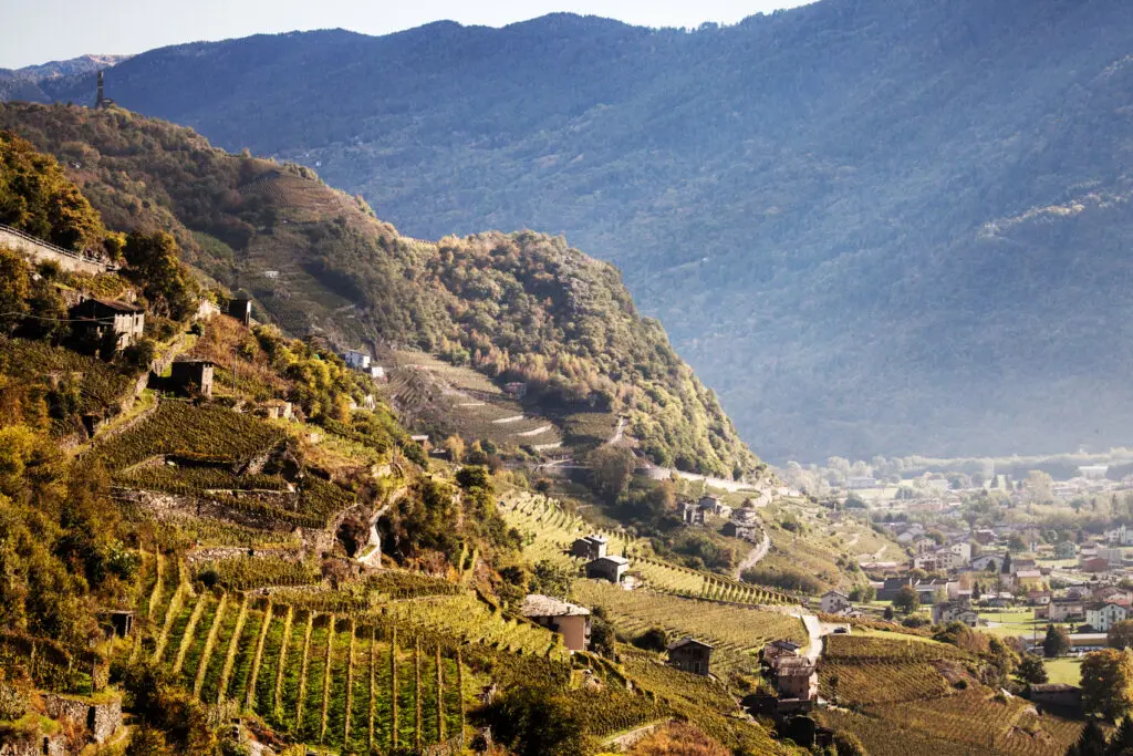 Valtellina, a long Alpine valley in the Lombardy region of northern Italy