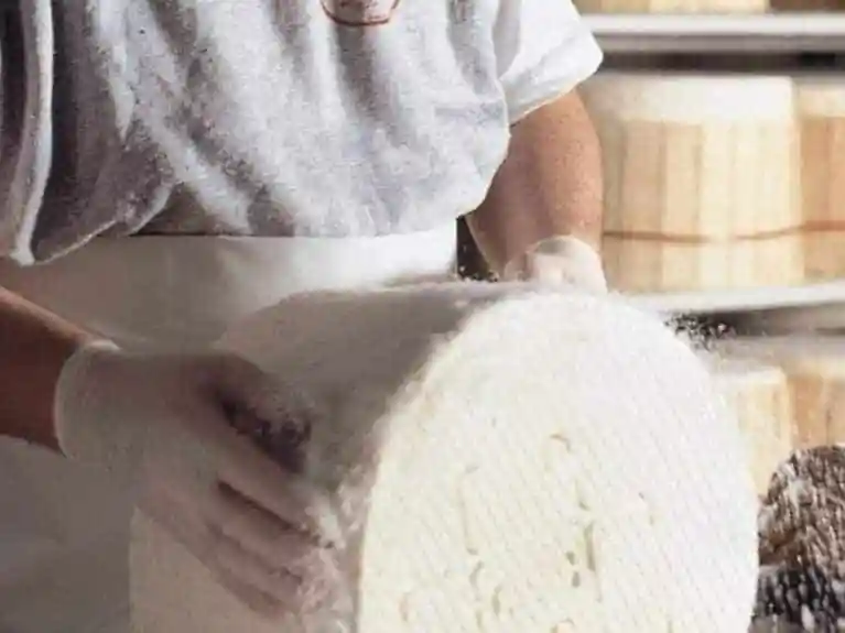 HOW GORGONZOLA IS MADE