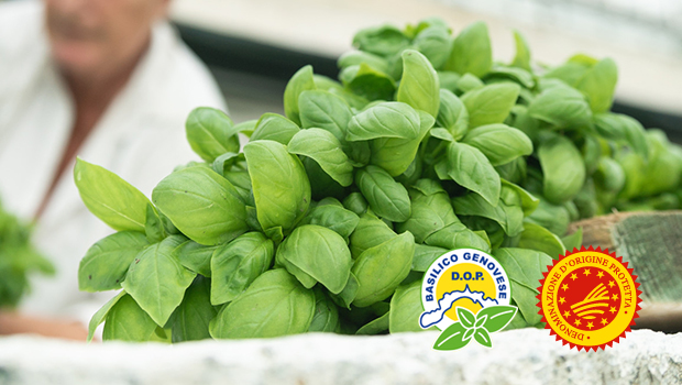 WHAT IS DOP CERTIFICATION? UNDERSTANDING ITALIAN PROTECTED ORIGINS
