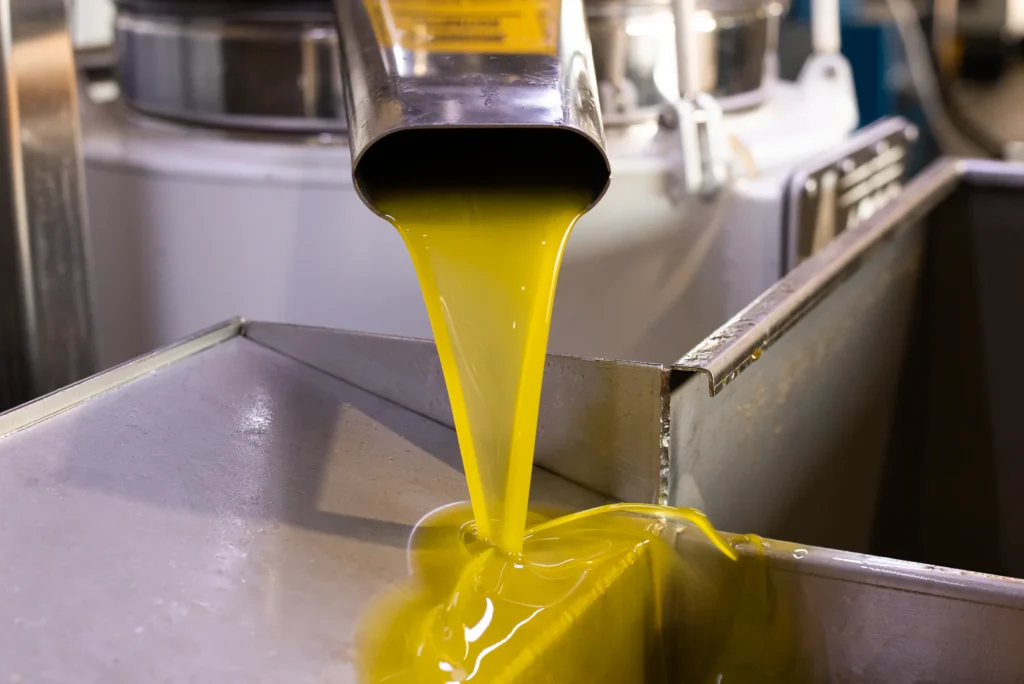 HOW EXTRA VIRGIN OLIVE OIL IS MADE