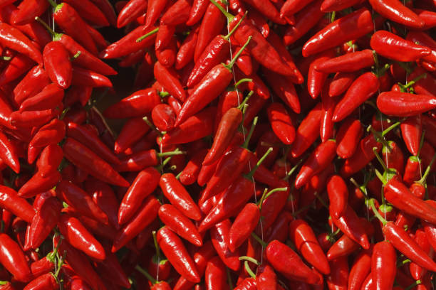 Calabrian red pepperoncino on market in Tropea