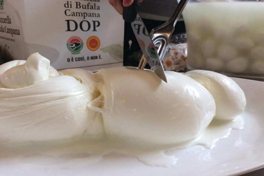 WHAT IS MOZZARELLA DI BUFALA?