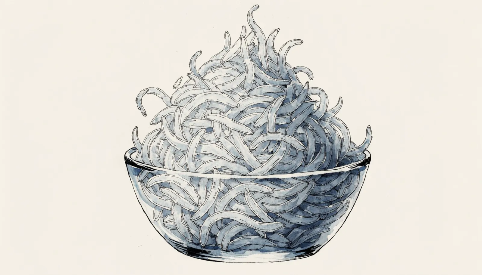 Carnaroli Rice: Why It Is Called the King of Risotto Rices