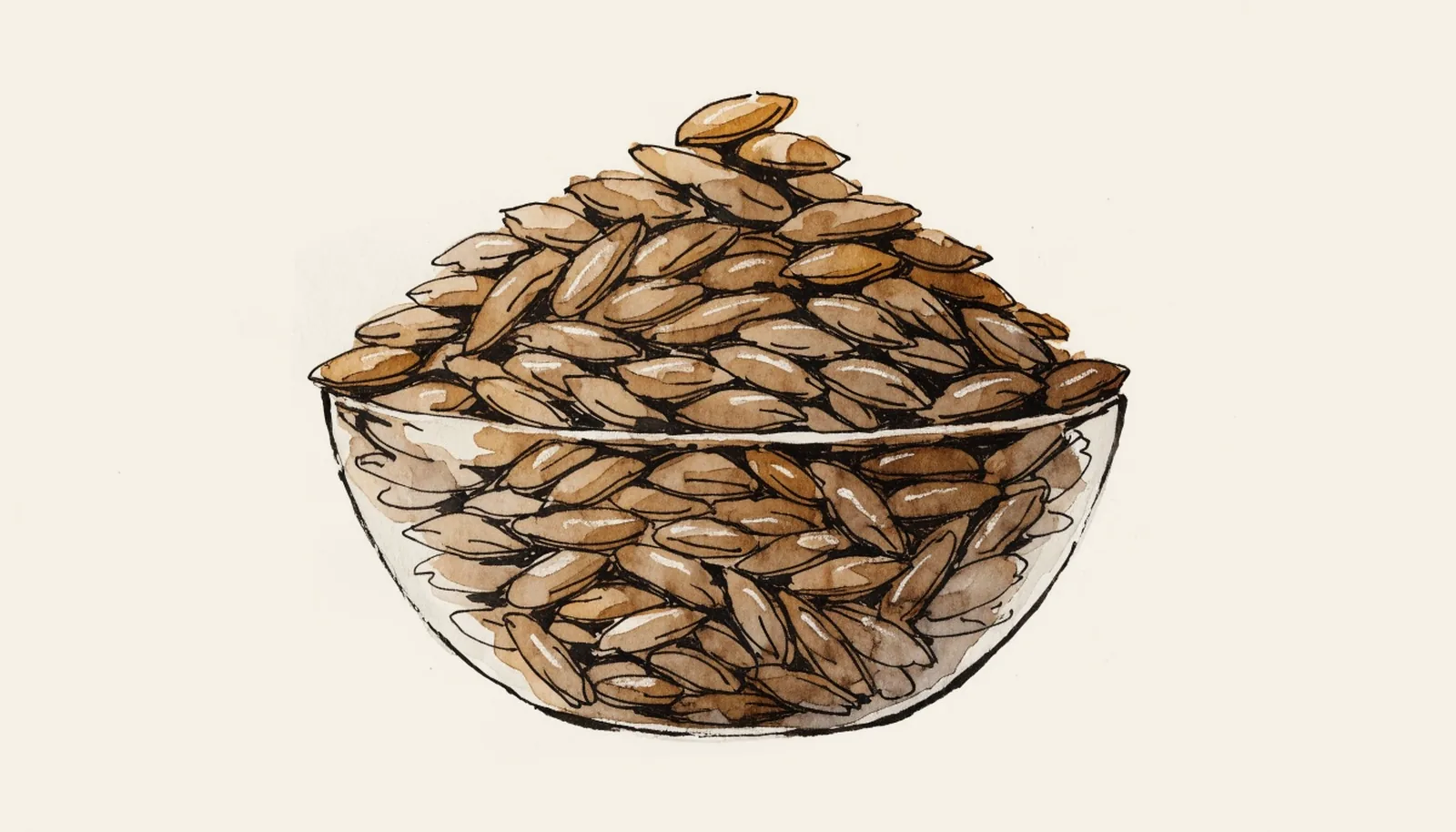 Farro: Which Grain You Are Actually Buying