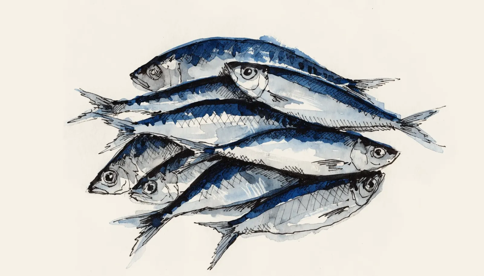 Italian Sardines: Reading a Tin, and Why the Date on It Is a Vintage