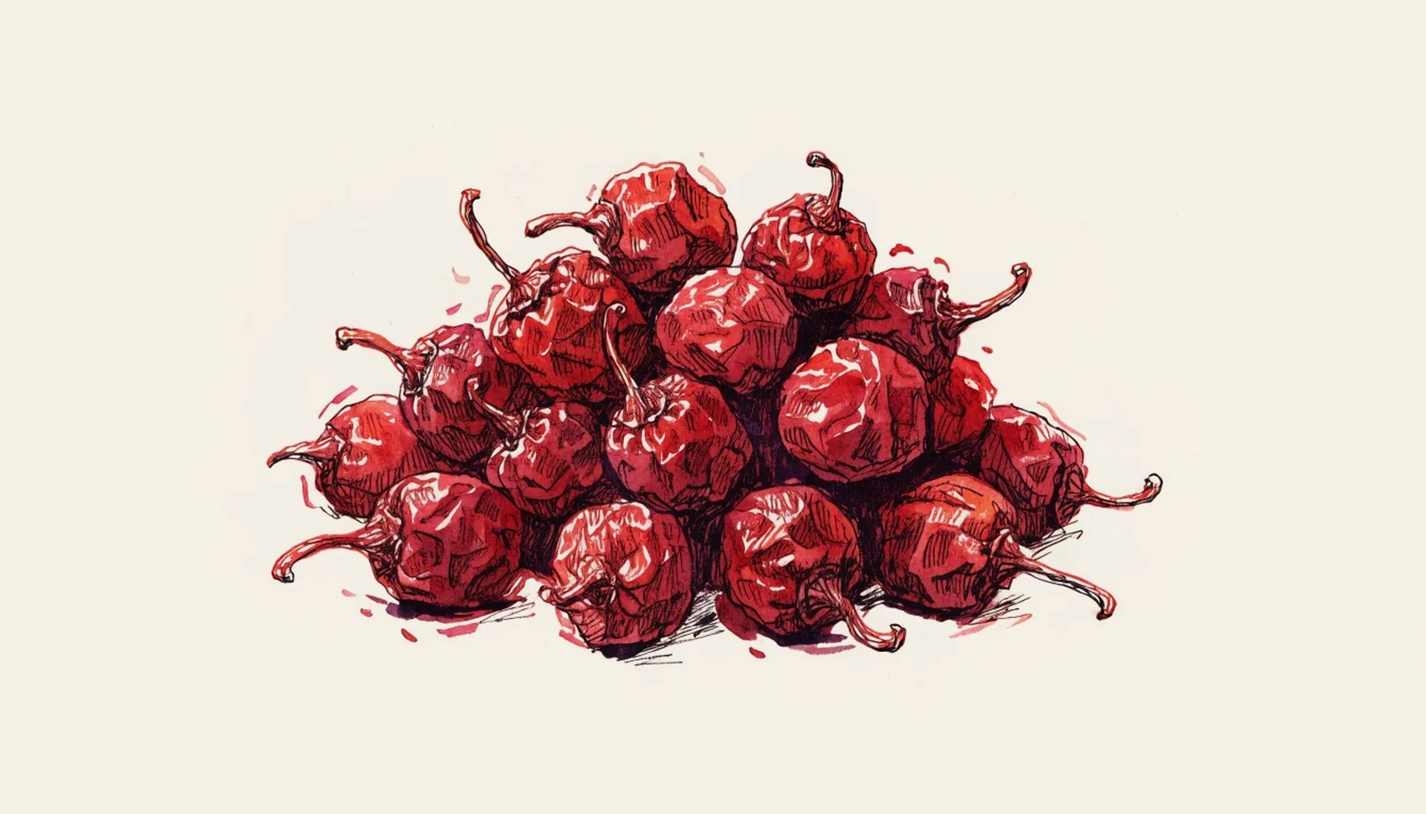 Peperoncino Calabrese: The Chilli That Defines Calabrian Food
