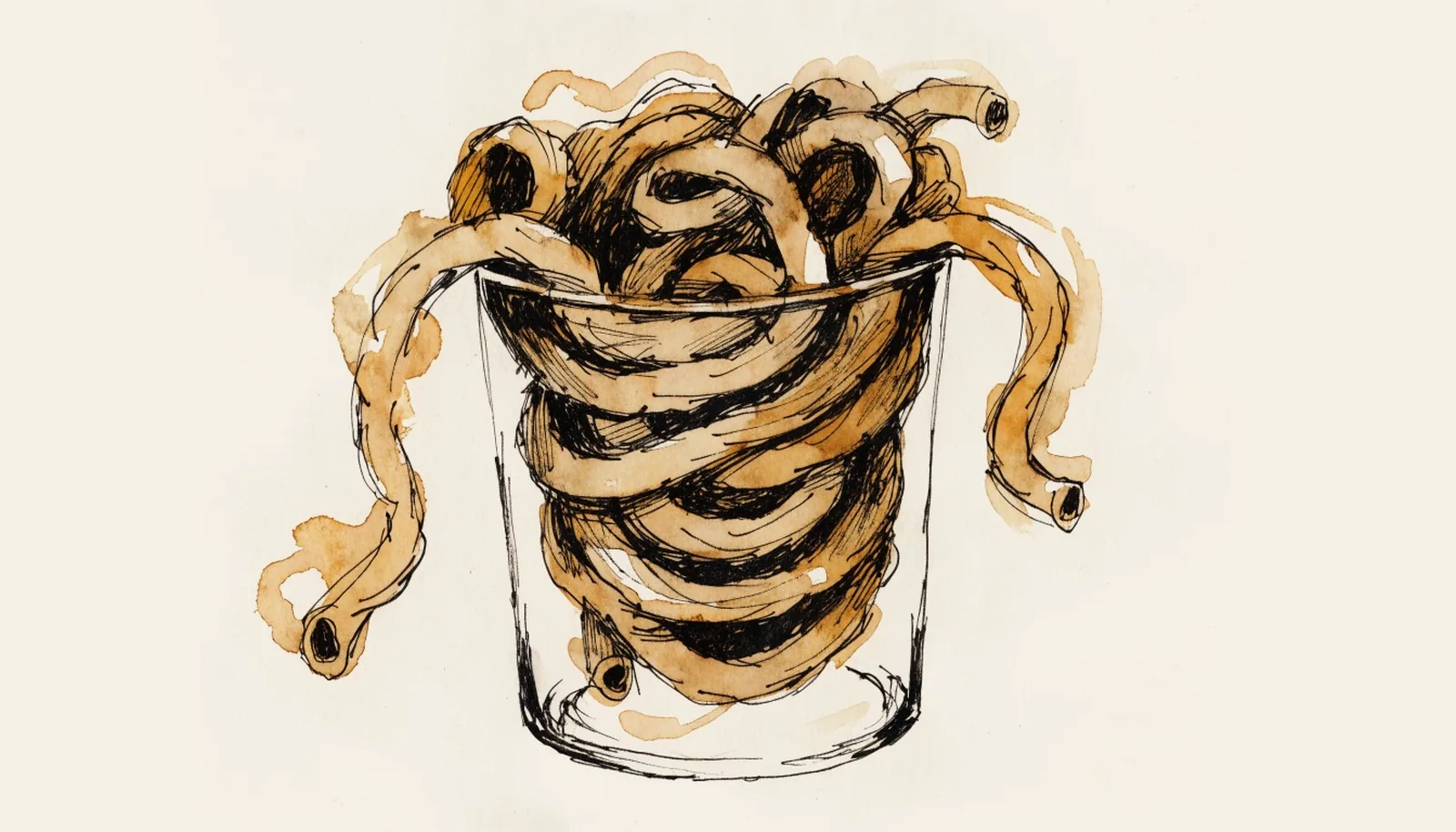 Senatore Cappelli: The Old Wheat Variety on the Pasta Box