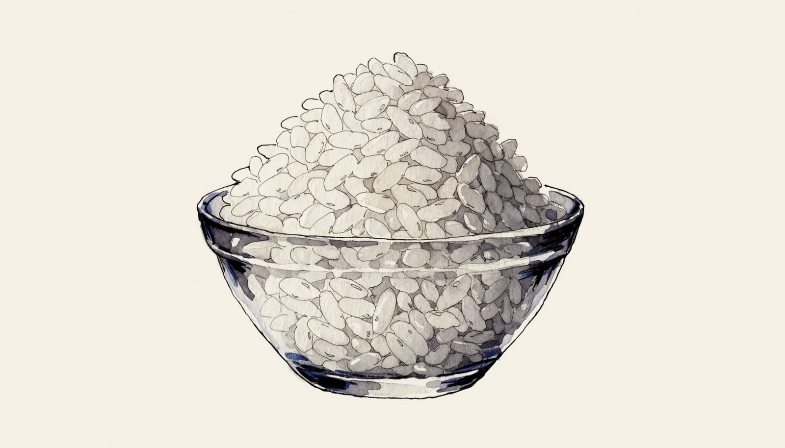 Vialone Nano: The Veneto Risotto Rice With an IGP