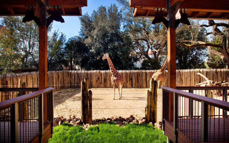 Best Italian food near Sacramento Zoo