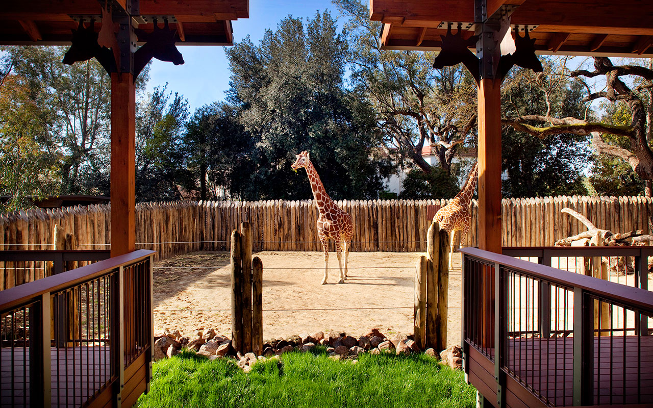 ITALIAN FOOD NEAR SACRAMENTO ZOO