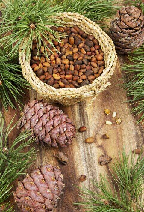 pine nuts