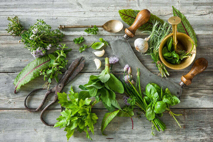 Fresh Herbs 