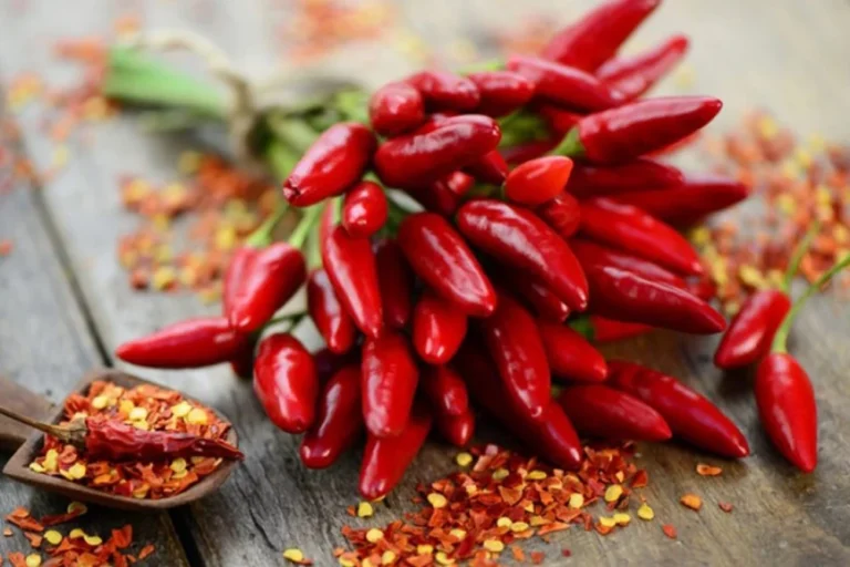 Calabrian Flavors – Spicy Sausages and Sun-Dried Tomatoes