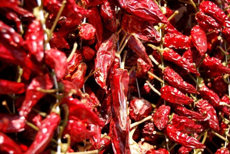 Calabrian Chili Peppers: The Fire Behind Southern Italian Cooking