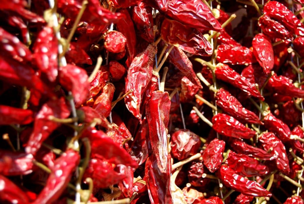 CALABRIAN CHILI PEPPERS Forms