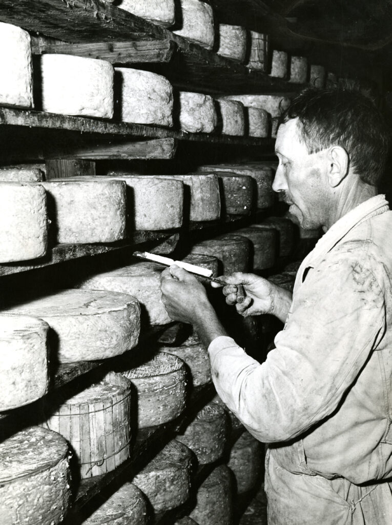A History That Starts With a Distracted Cheesemaker