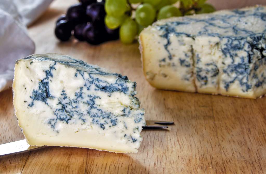 WHAT IS GORGONZOLA?