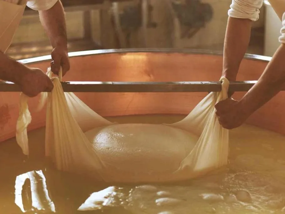 HOW PARMIGIANO-REGGIANO IS MADE