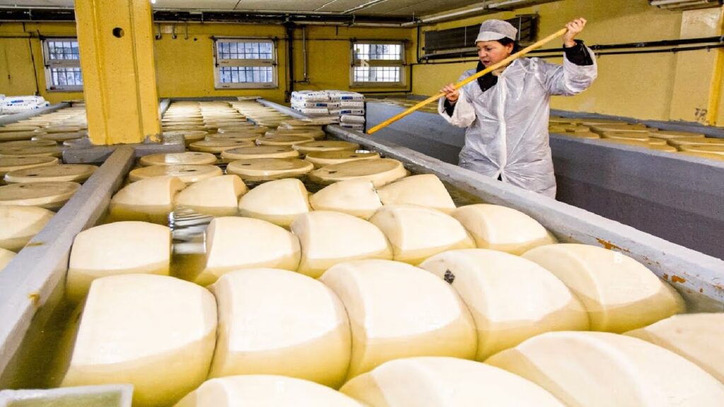 HOW PARMIGIANO-REGGIANO IS MADE