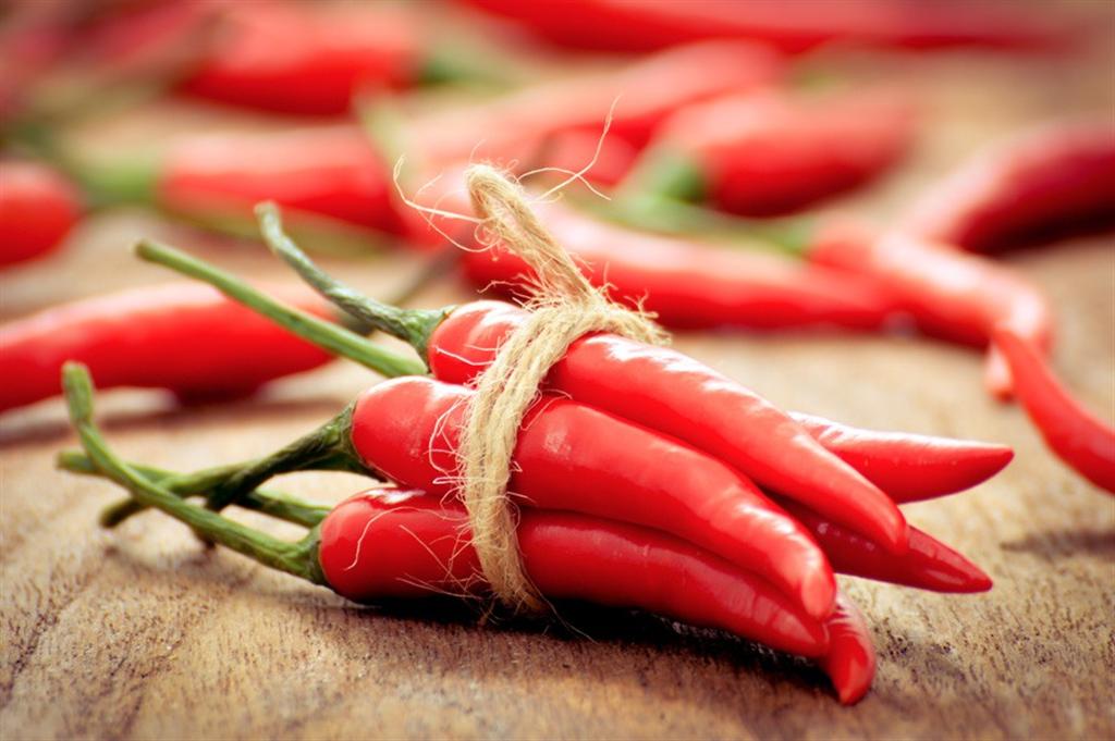 HOW CALABRIAN CHILI PEPPERS ARE PRODUCED