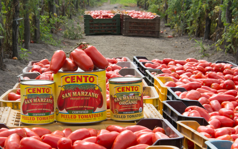 What Are San Marzano Tomatoes?