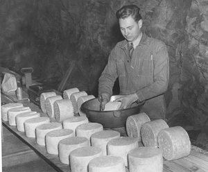 A History That Starts With a Distracted Cheesemaker